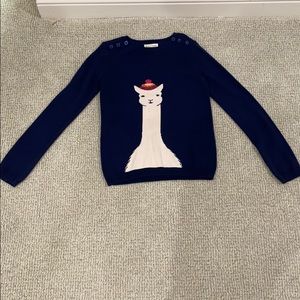 llama sweater